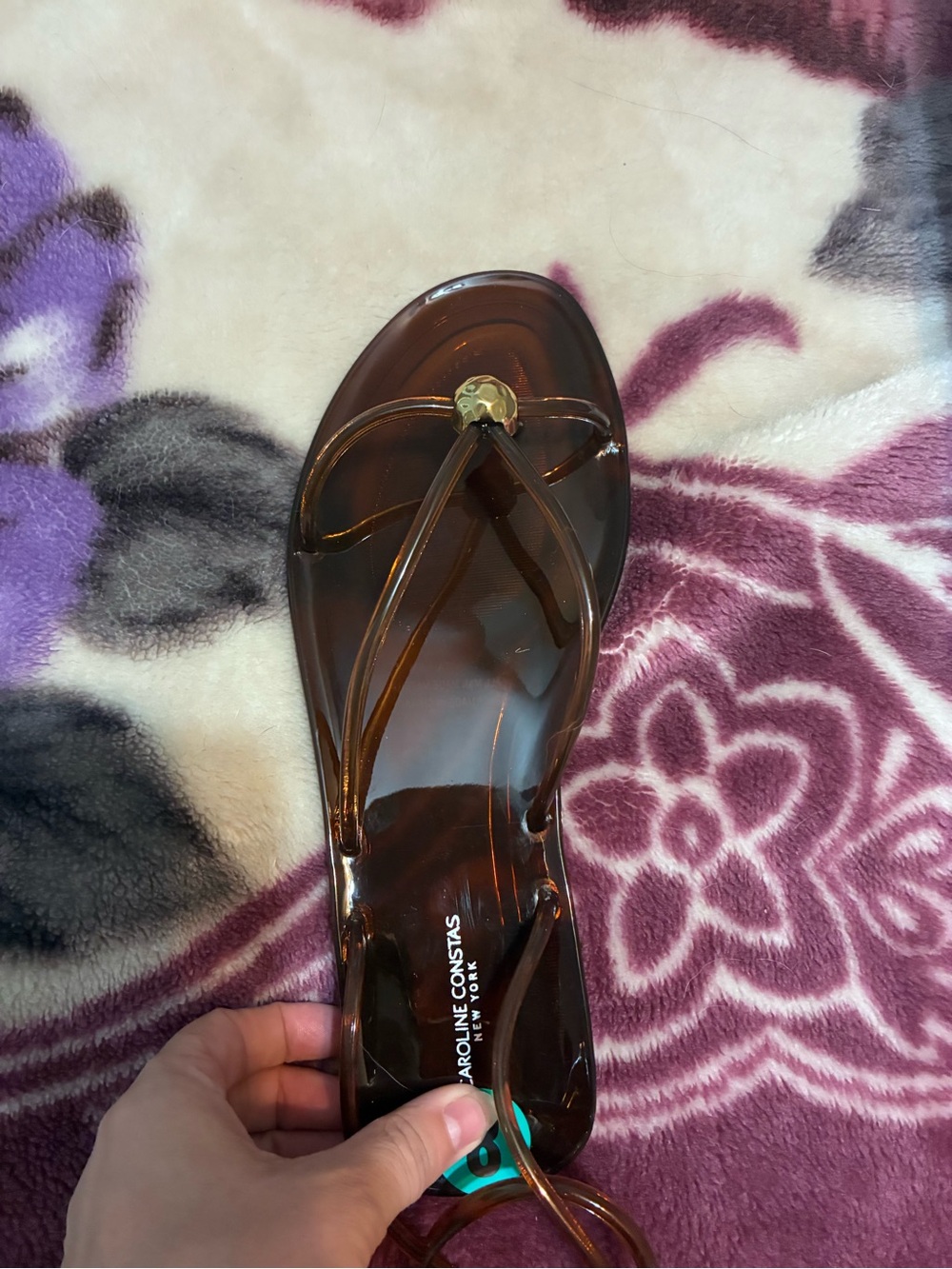 Caroline Constas Brown Jelly Thong Sandals with Gold Medallion 8